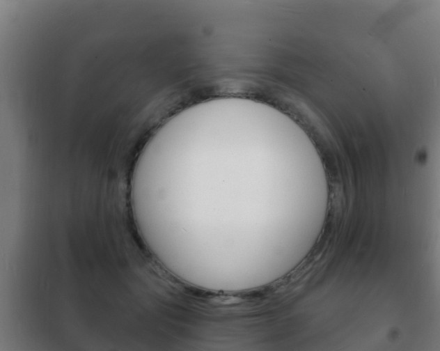 X0000102230557200807250812