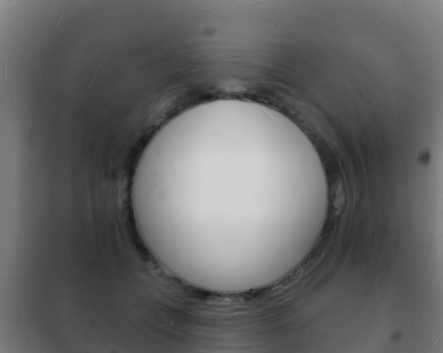 X0000102230559200807250812