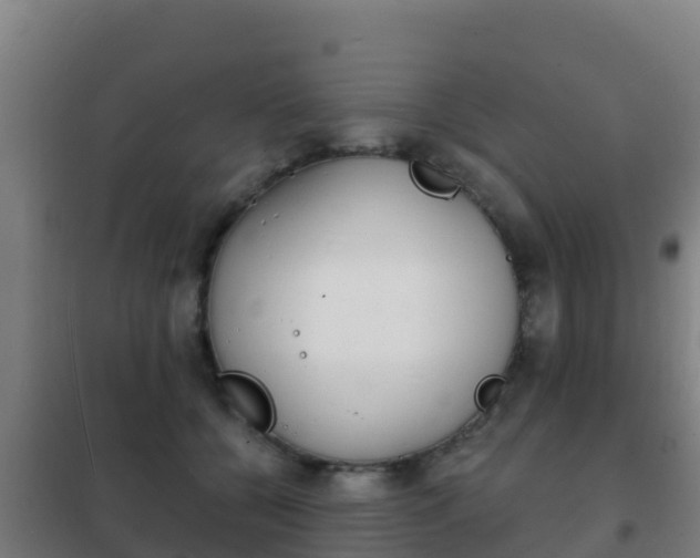 X0000102230560200807250812
