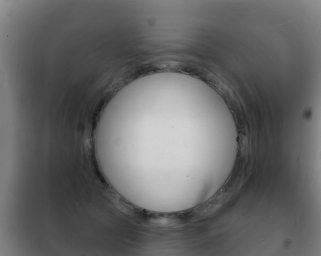 X0000102230561200807250812