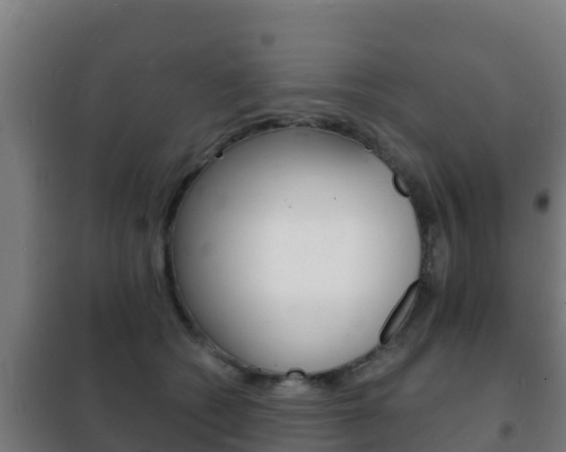 X0000102230562200807250812