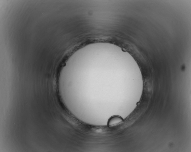 X0000102230564200807250812