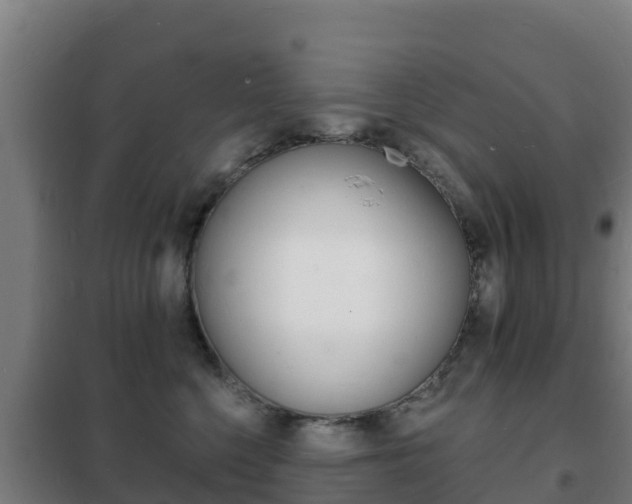 X0000102230568200807250812