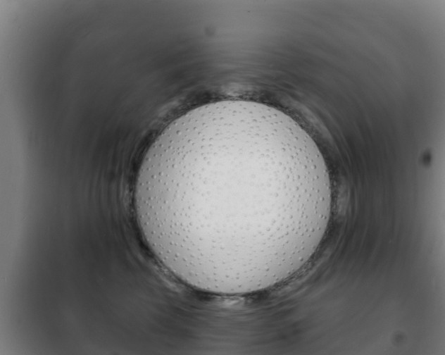 X0000102230569200807250812