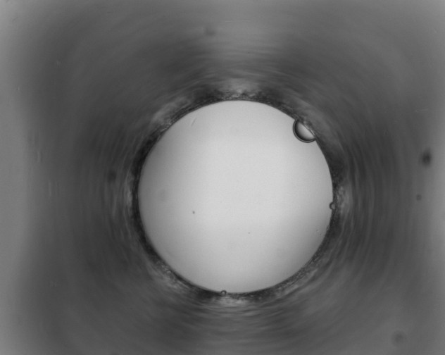 X0000102230570200807250812