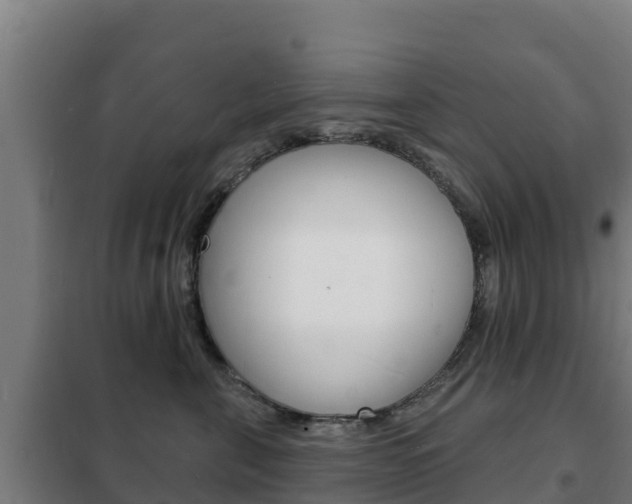 X0000102230571200807250812