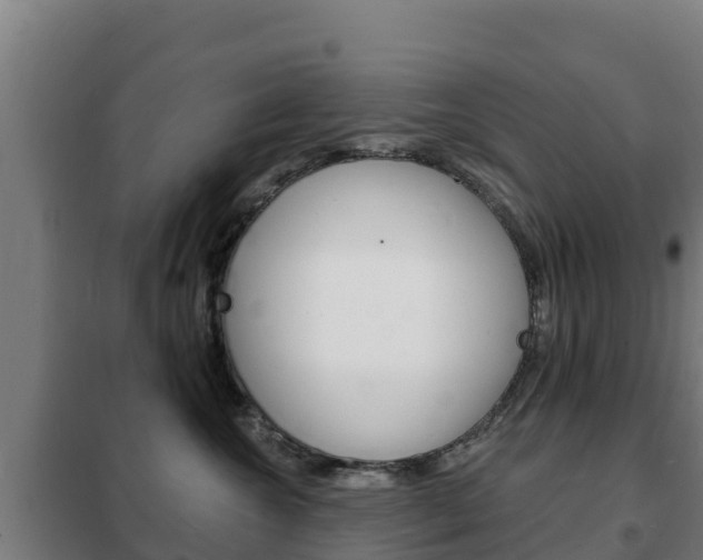 X0000102230572200807250812
