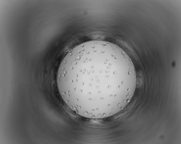 X0000102230573200807250812