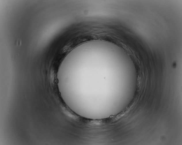 X0000102230574200807250812