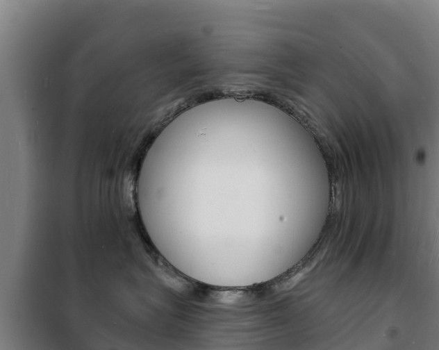 X0000102230575200807250812