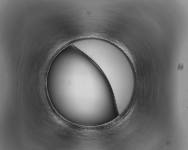 X0000102230577200807250811