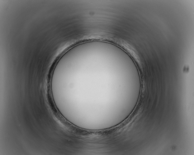 X0000102230578200807250811
