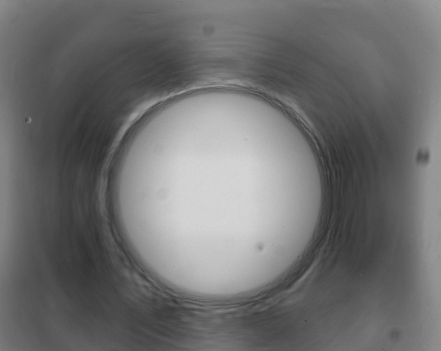 X0000102230579200807250811