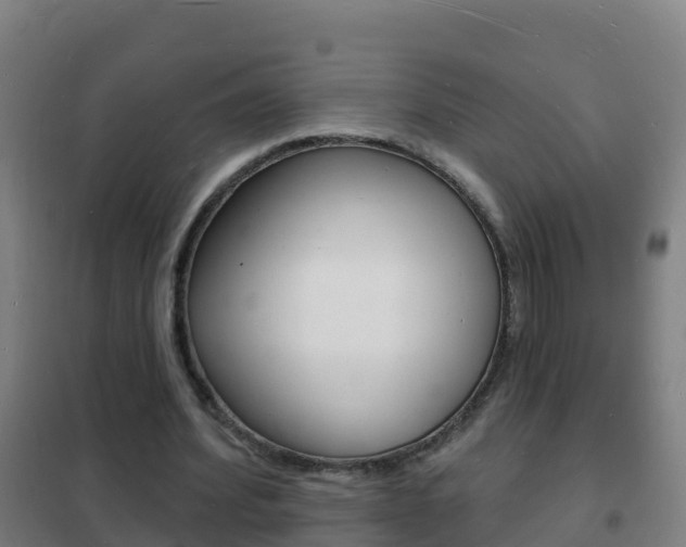 X0000102230580200807250811