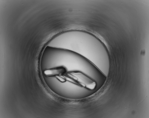X0000102230581200807250811