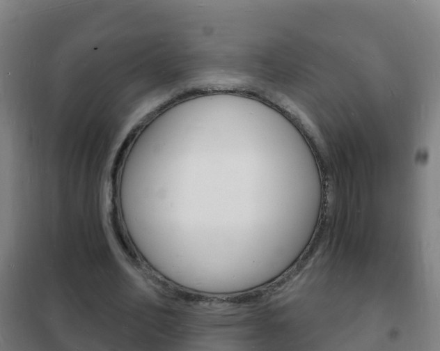 X0000102230582200807250811
