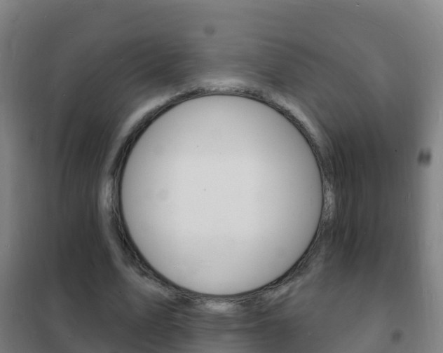 X0000102230583200807250811