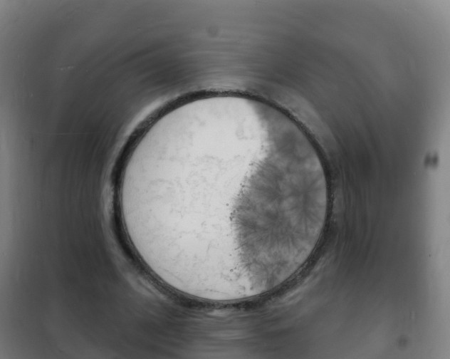 X0000102230584200807250811