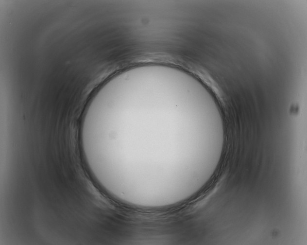 X0000102230585200807250811