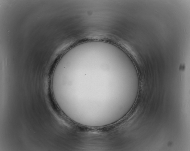 X0000102230586200807250811