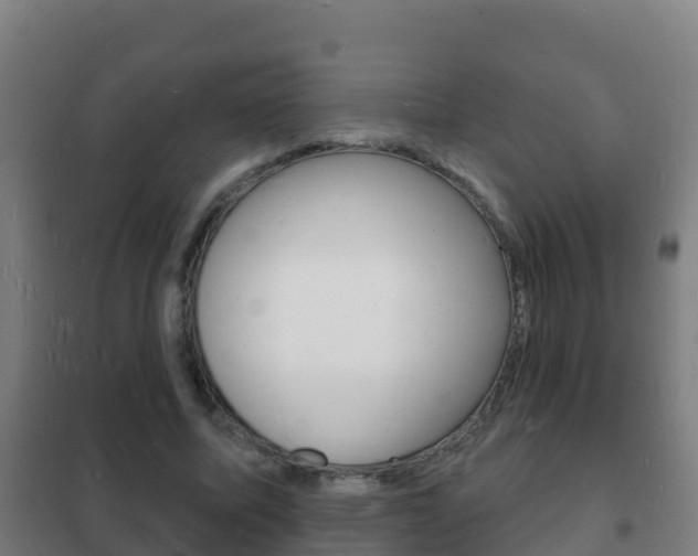 X0000102230587200807250811