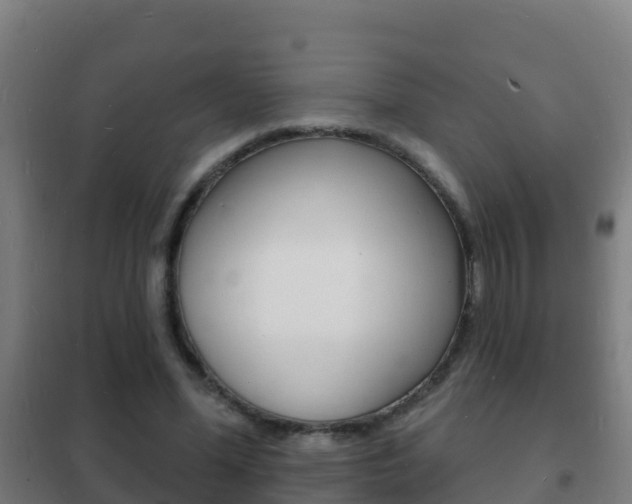 X0000102230588200807250811