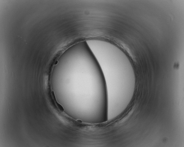 X0000102230589200807250811