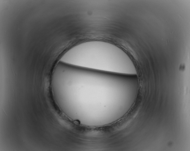 X0000102230593200807250811