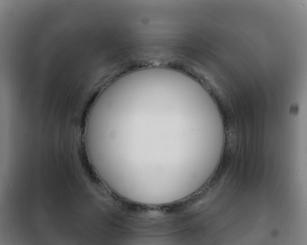 X0000102230594200807250811