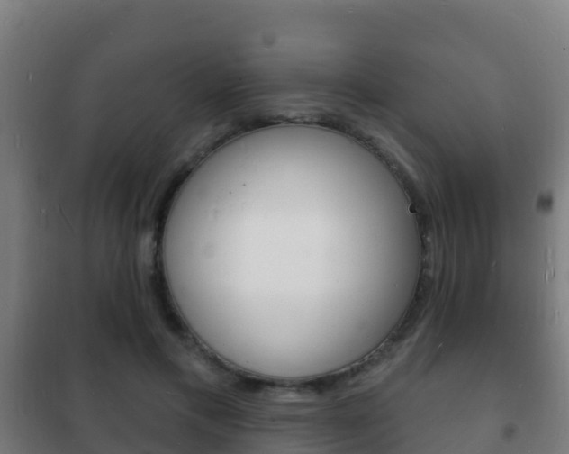 X0000102230597200807250811
