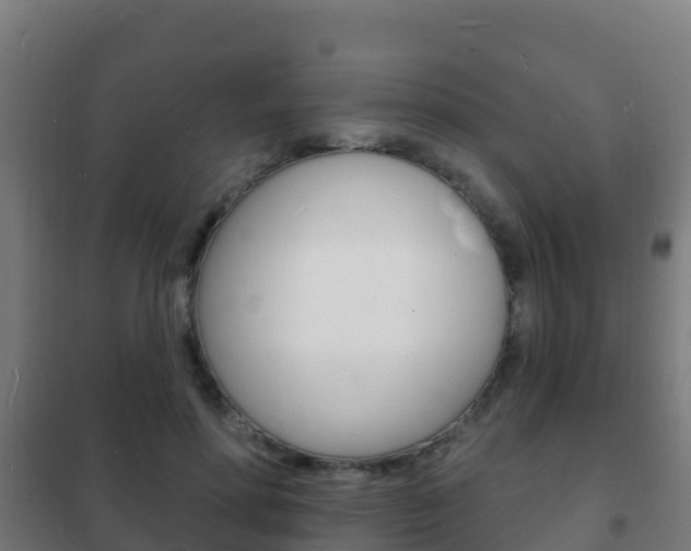 X0000102230598200807250811