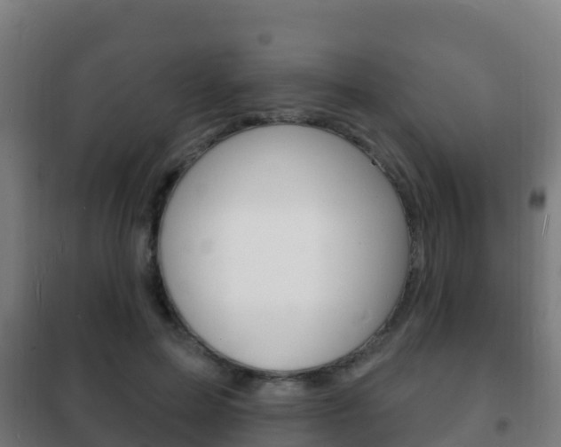 X0000102230599200807250811