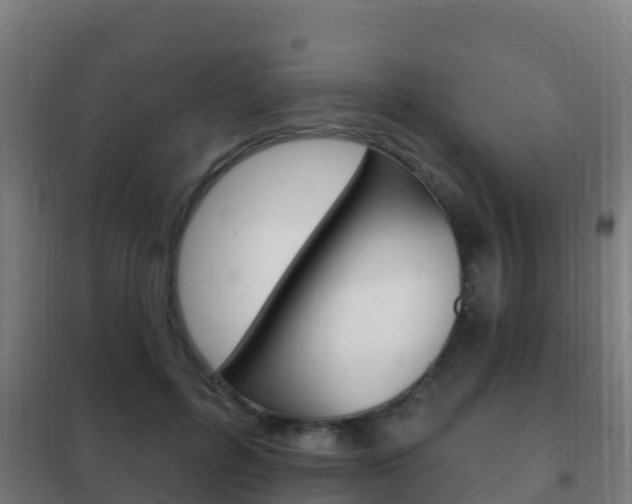 X0000102230600200807250811
