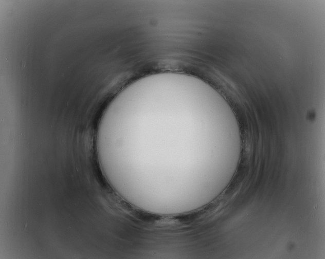 X0000102230603200807250810