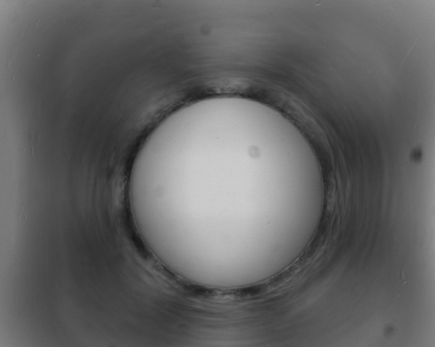 X0000102230604200807250810