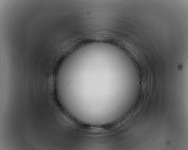 X0000102230605200807250810