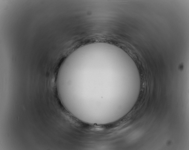 X0000102230610200807250810
