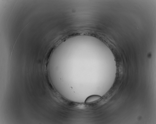 X0000102230611200807250810