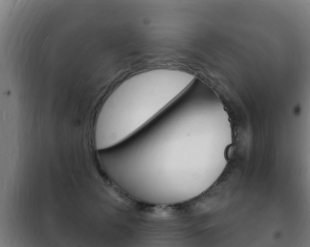 X0000102230612200807250810