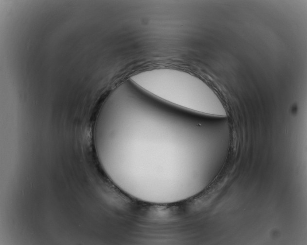 X0000102230613200807250810
