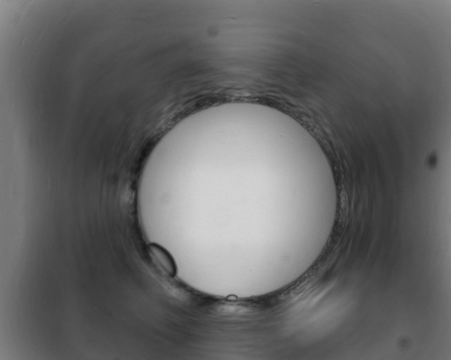 X0000102230614200807250810