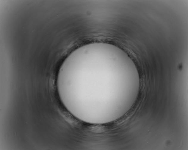 X0000102230615200807250810