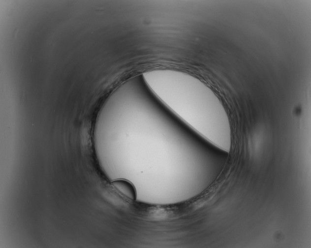 X0000102230616200807250810