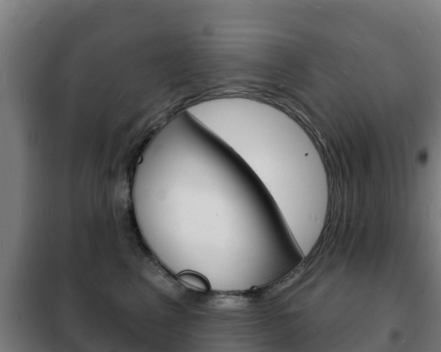 X0000102230617200807250810