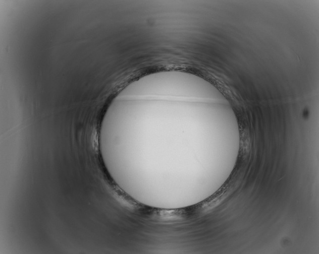 X0000102230622200807250810