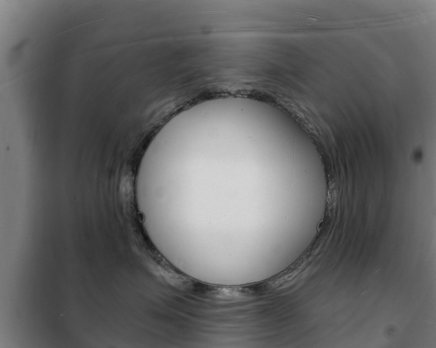 X0000102230623200807250810