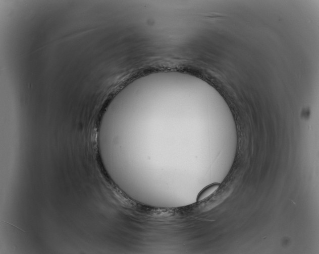 X0000102230624200807250810