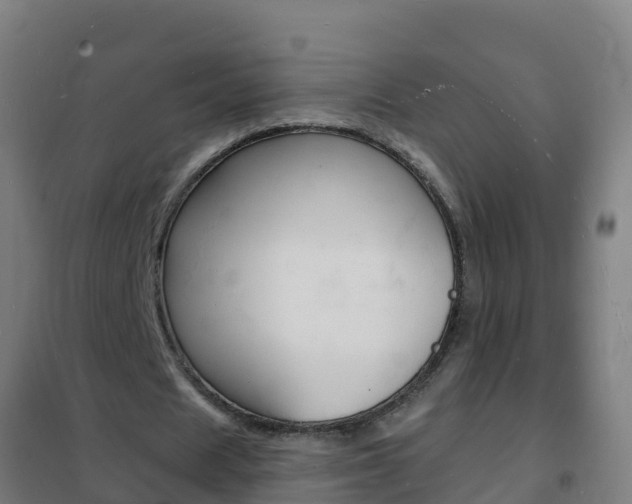 X0000102230625200807250809
