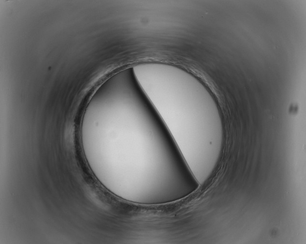 X0000102230626200807250809