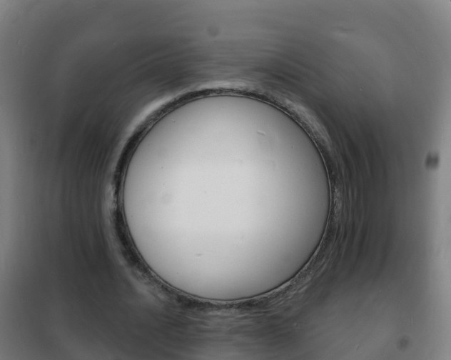 X0000102230628200807250810